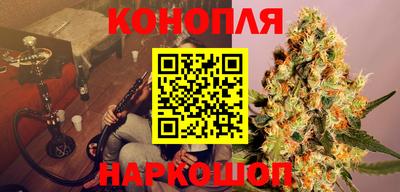 spice Новозыбков
